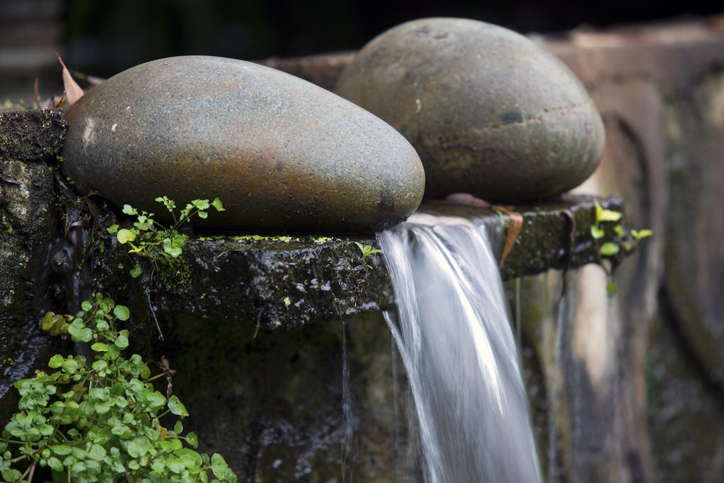 Quinta Sauz Hotel Tacámbaro de Codallos Екстериор снимка