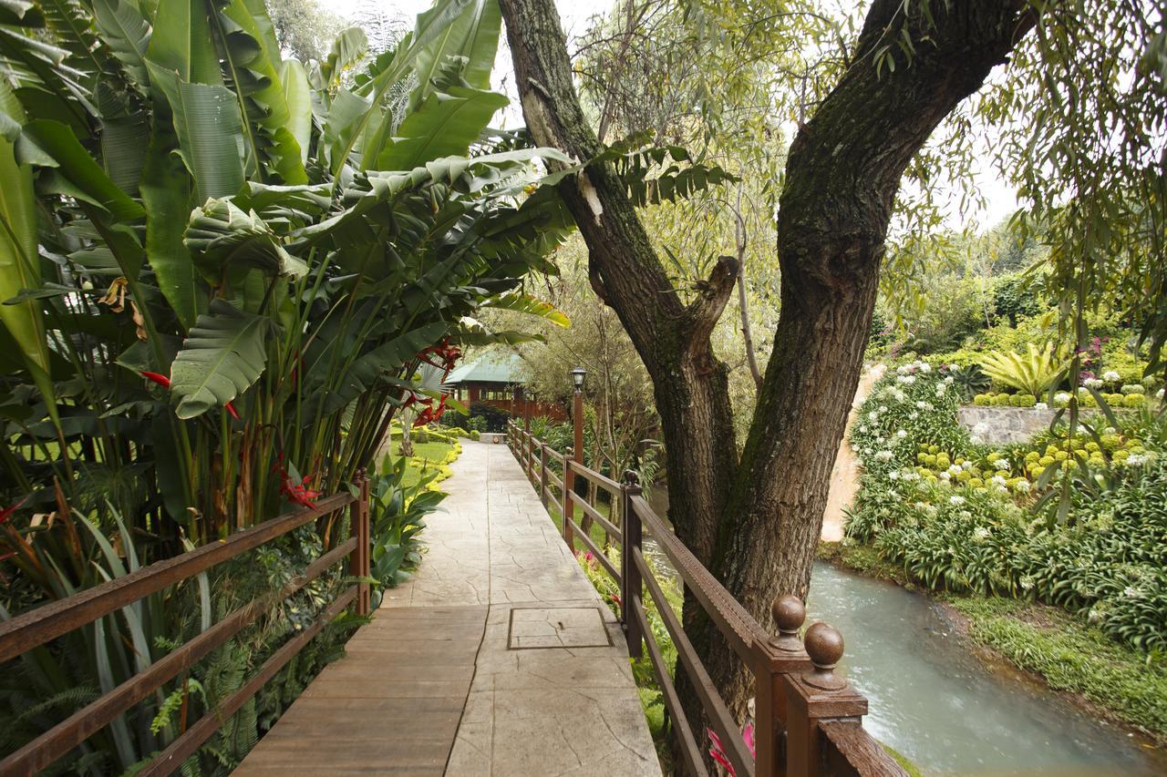 Quinta Sauz Hotel Tacámbaro de Codallos Екстериор снимка